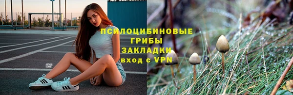 метадон Липки