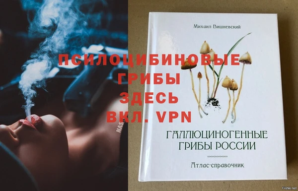 МДПВ Лихославль