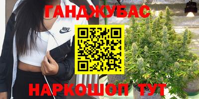 a pvp Кингисепп