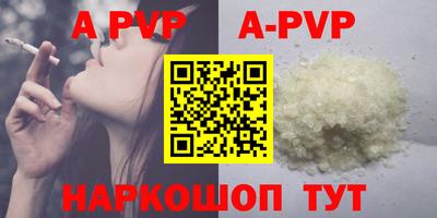 a pvp Кингисепп